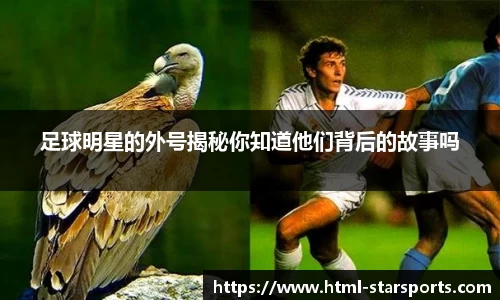 星空体育网站入口